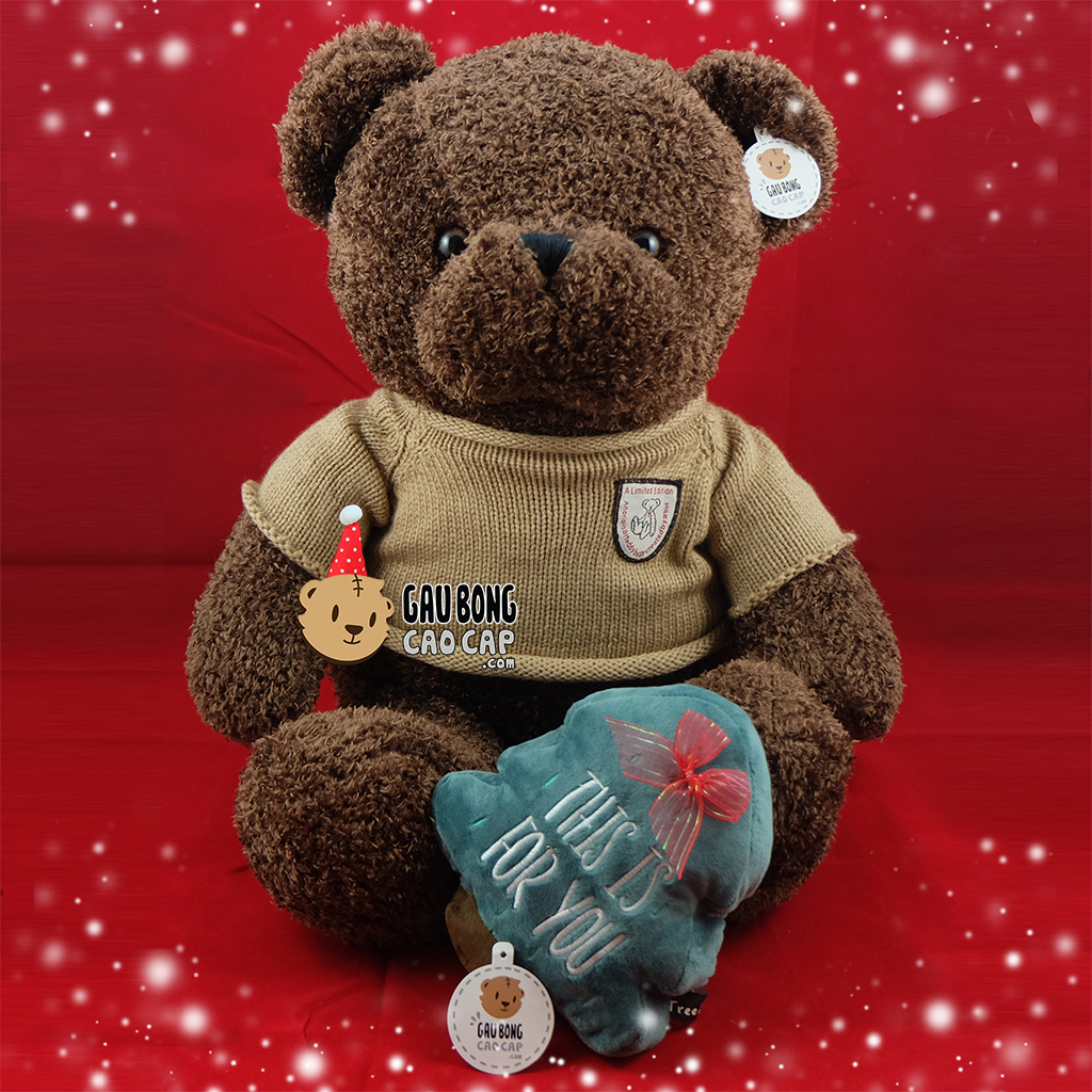 Gấu bông Teddy áo len Choco