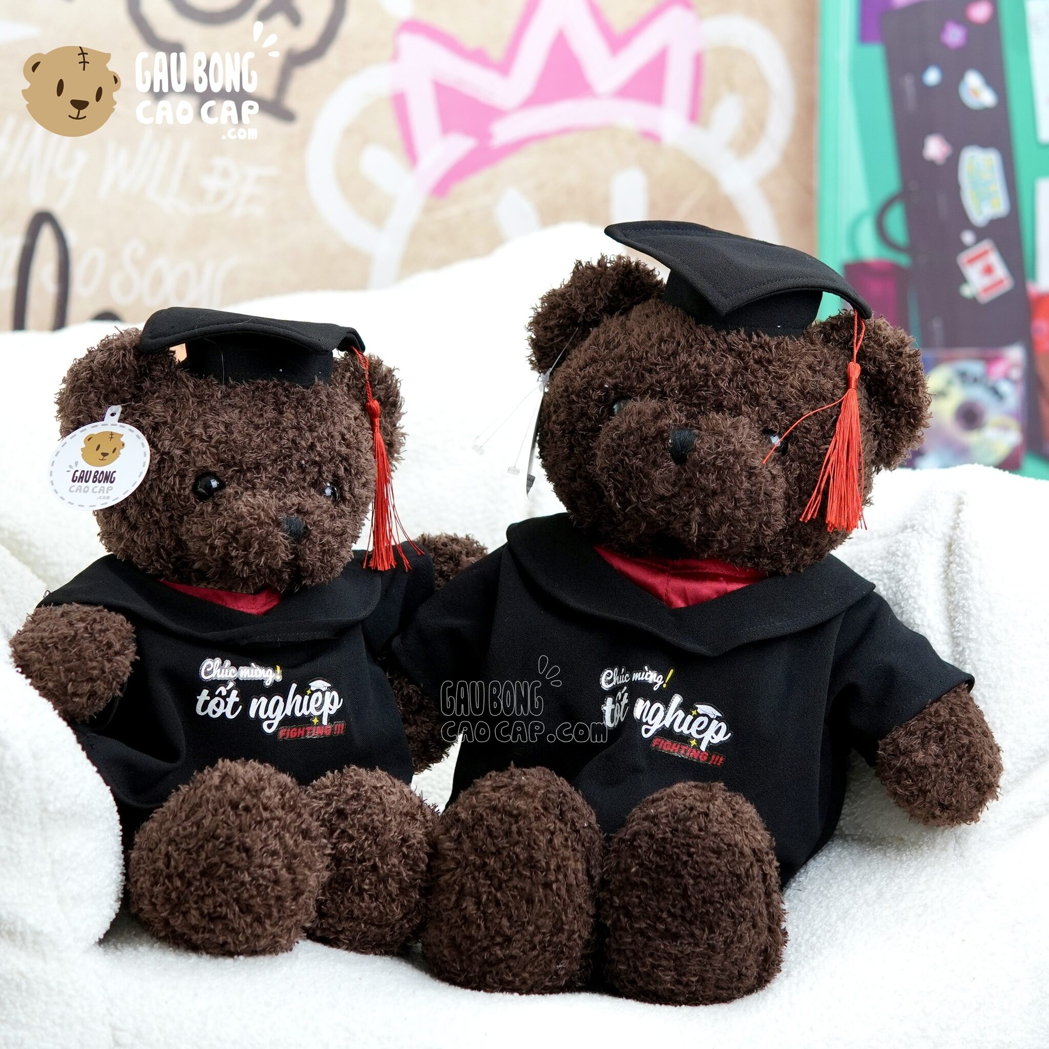 Gấu Bông Tốt Nghiệp – Gấu Teddy tốt nghiệp lông xù màu Nâu